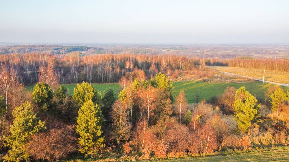 Autum countryside and woods