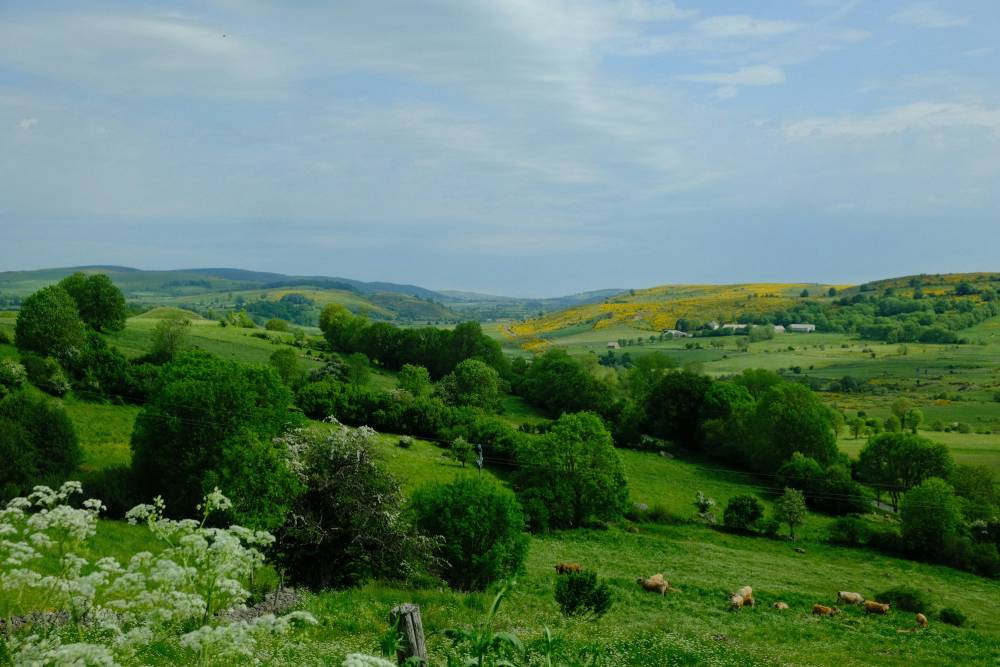 Countryside