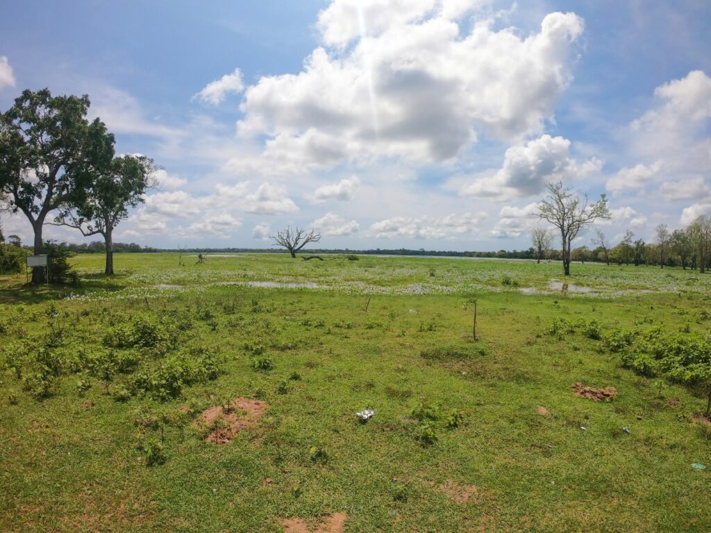 The Comfort of Knowing Land Is Waiting for You 1 medow 27