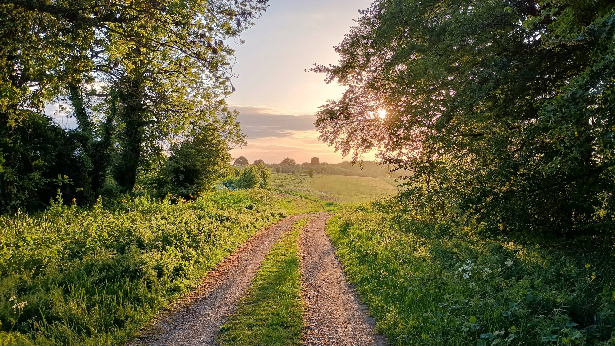 The Ridgeway, Oxfordshire